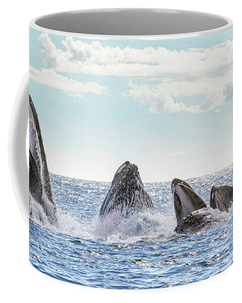 Whale Coffee Mug featuring the photograph Humpbacks in a Row by Michael Rauwolf