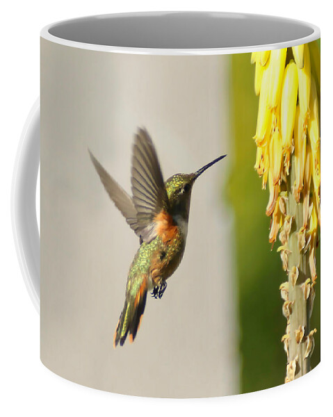 Humming Bird Coffee Mug featuring the photograph I Believe I can Fly by Montez Kerr