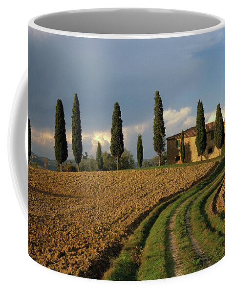 Cypress Trees Coffee Mug featuring the photograph I Cipressini, Tuscany, Italy by Sarah Howard