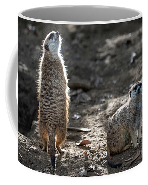 Brown Coffee Mug featuring the photograph I Smell Food by David Levin
