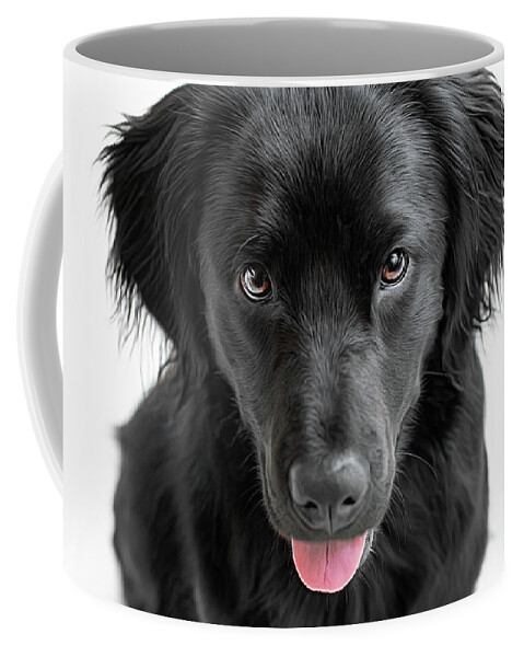 Playful Coffee Mug featuring the photograph I want by Amy Dundon