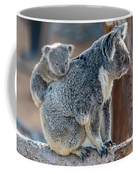 San Diego Zoo Coffee Mug featuring the photograph I Want Off Please, Mama by David Levin