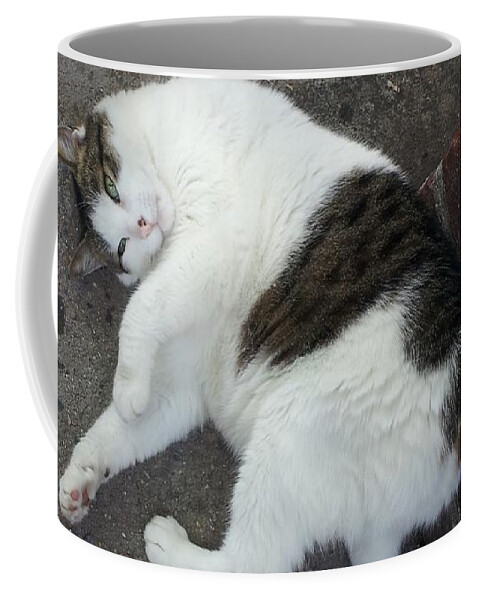 Cat Coffee Mug featuring the photograph Iago the NYC Shop Cat by Annalisa Rivera-Franz