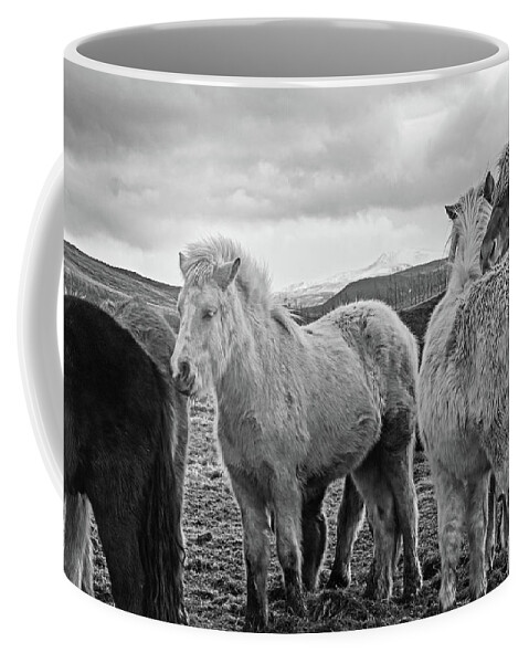 Iceland Coffee Mug featuring the photograph Icelandic Horse Cuddle Iceland Black and White by Toby McGuire