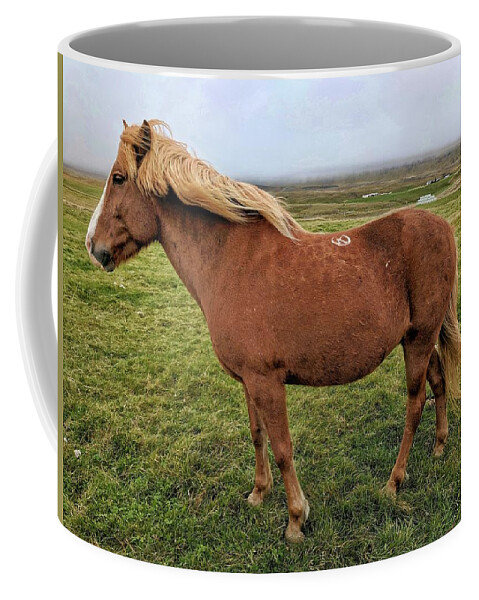 Iceland Coffee Mug featuring the photograph Icelandic horse by Yvonne Jasinski