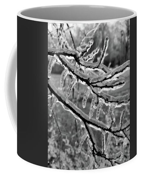 Ice Coffee Mug featuring the photograph Icy Branch by Ally White