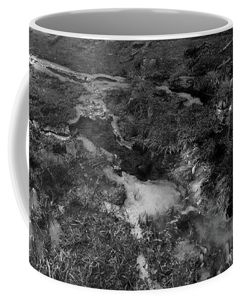 Richard E. Porter Coffee Mug featuring the photograph Icy Stream, Lincoln National Forest, New Mexico by Richard Porter