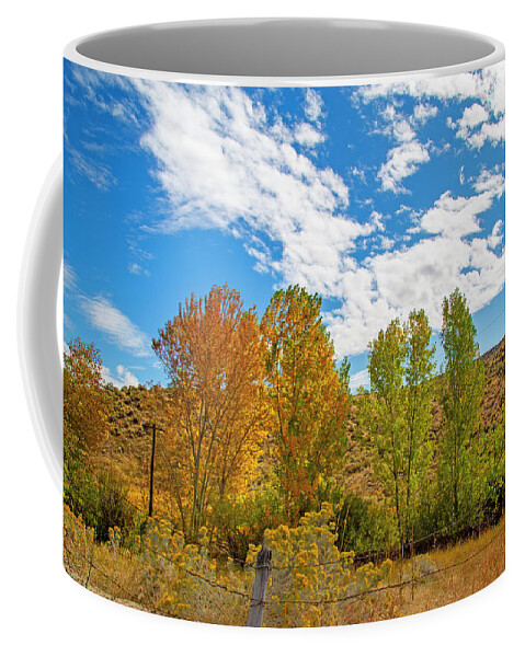 Fall Coffee Mug featuring the photograph Idaho Fall Colors by Dart Humeston