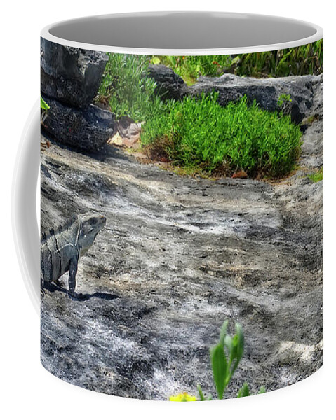 Cozumel Coffee Mug featuring the photograph Iguana basking on tropical Cozumel beach by Peter Herman