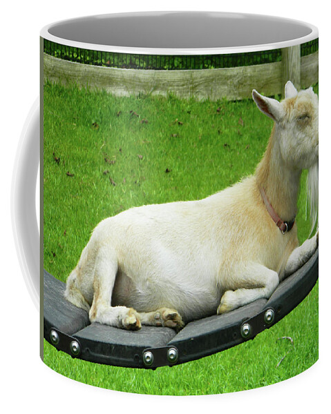 Goats Coffee Mug featuring the photograph I'm Lucy - I Like You by Emmy Marie Vickers