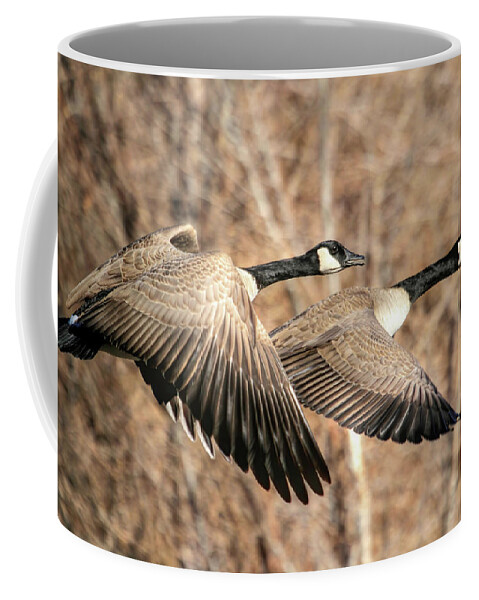 Canada Goose Coffee Mug featuring the photograph I'm Right Behind Ya by Donna Kennedy