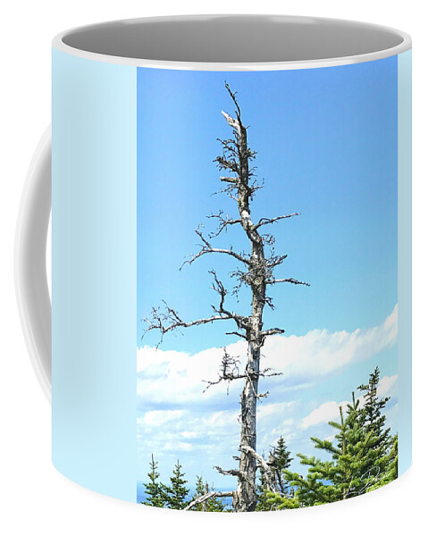 Tree Coffee Mug featuring the photograph I'm Still Standing by Lee Darnell