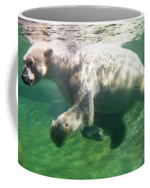 David Levin Photography Coffee Mug featuring the photograph I'm Swimming as Fast as I Can by David Levin