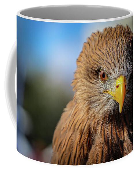 2020 Coffee Mug featuring the photograph I'm watching you by Gerri Bigler