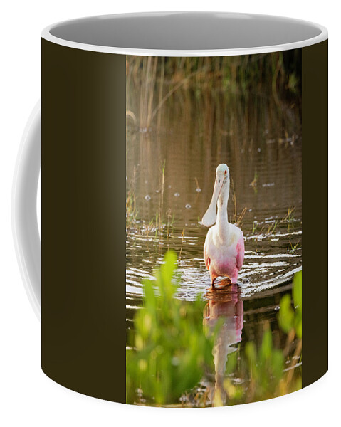 I5g_3472 Coffee Mug featuring the photograph Images from the Dawn Patrol on Blackpoint Drive by Gordon Elwell