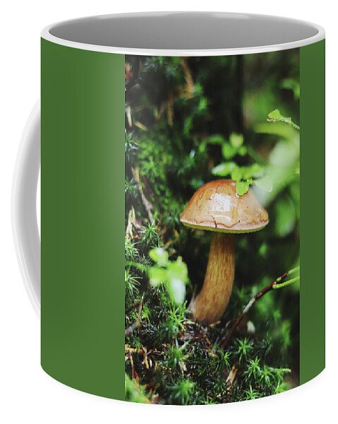 Hand Coffee Mug featuring the photograph Imleria badia is squatting in the undergrowth. by Vaclav Sonnek