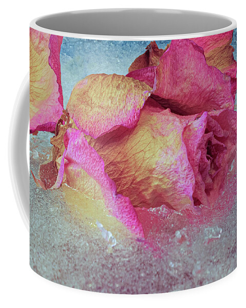 Color Coffee Mug featuring the photograph Immersed Pink Rose by Jean Noren