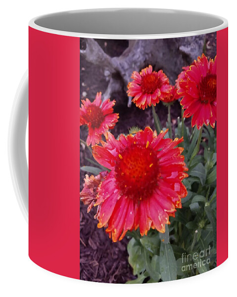 Fall Flowers Coffee Mug featuring the photograph Imperfect Beauty by Chris Naggy