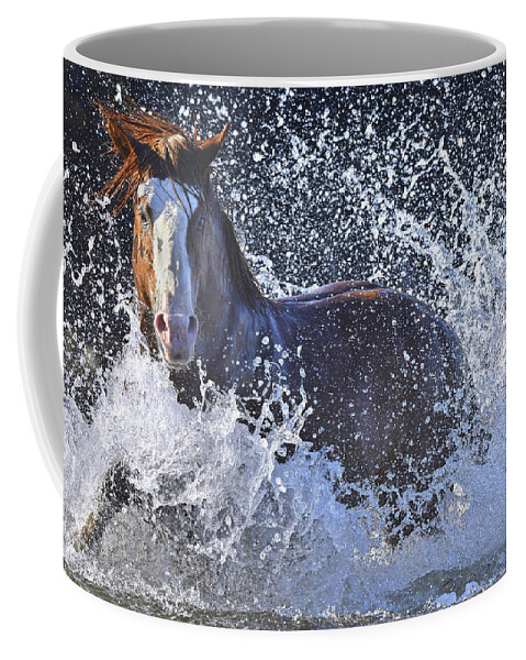 Stallion Coffee Mug featuring the photograph Impressive Stallion. by Paul Martin