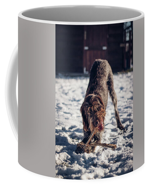 Bohemian Wire Coffee Mug featuring the photograph Toy games #1 by Vaclav Sonnek