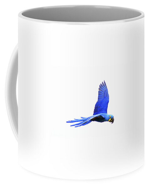 Hyacinth Coffee Mug featuring the photograph In flight 2of3 by Patrick Nowotny