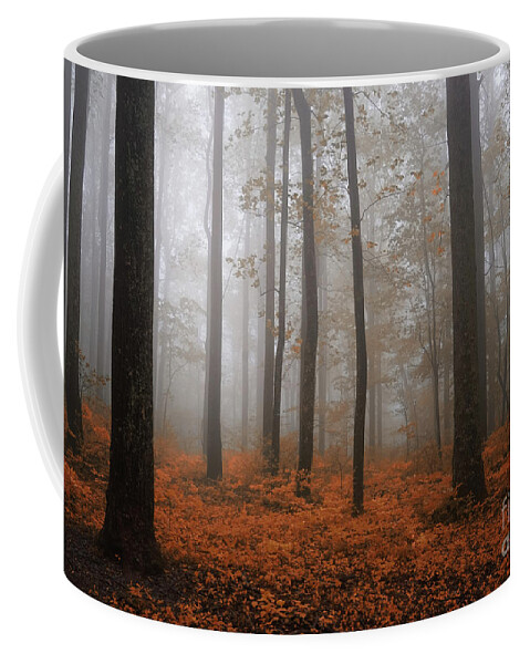 In Foggy Stillness Coffee Mug featuring the photograph In Foggy Stillness by Rachel Cohen