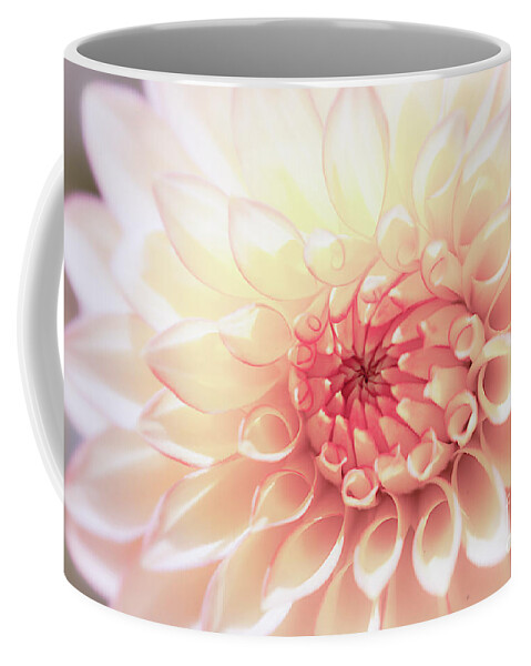 Flower Coffee Mug featuring the photograph In Love with Dahlia by Ana V Ramirez