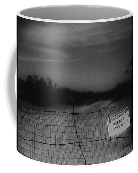 Gate Coffee Mug featuring the photograph In or Out by Mark Ross