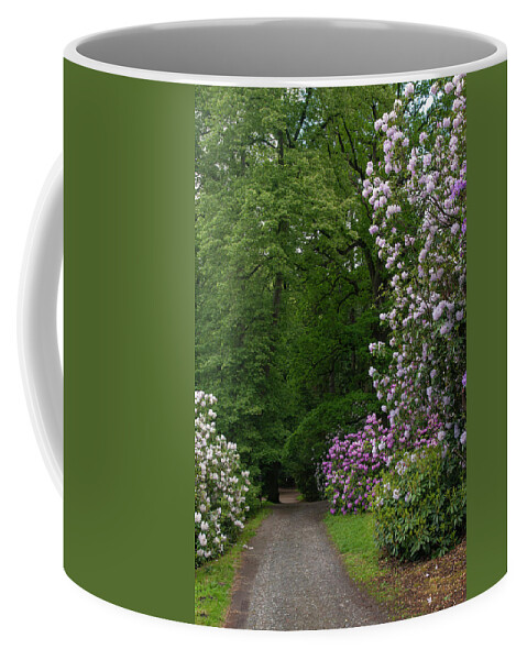 Jenny Rainbow Fine Art Photography Coffee Mug featuring the photograph In Rhododendron Woods 25 by Jenny Rainbow