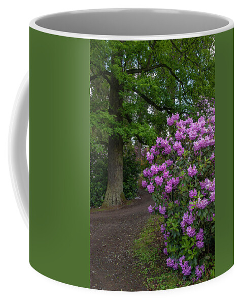 Jenny Rainbow Fine Art Photography Coffee Mug featuring the photograph In Rhododendron Woods 28 by Jenny Rainbow