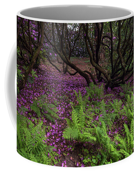 Jenny Rainbow Fine Art Photography Coffee Mug featuring the photograph In Rhododendron Woods 36 by Jenny Rainbow