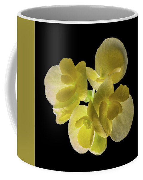 Backlight Coffee Mug featuring the photograph In Search Of by Kevin Suttlehan