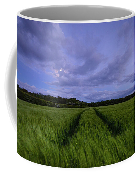 Farm Coffee Mug featuring the photograph In the Blue Hour by Spikey Mouse Photography