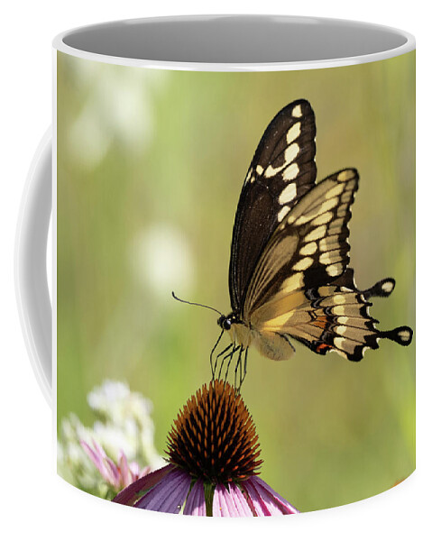 Butterflies Coffee Mug featuring the digital art In the Evening Glow by Paulette Marzahl