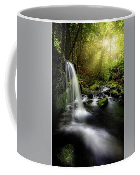 Appalachian Trail Coffee Mug featuring the photograph In the Light Sages Ravine by Bill Wakeley