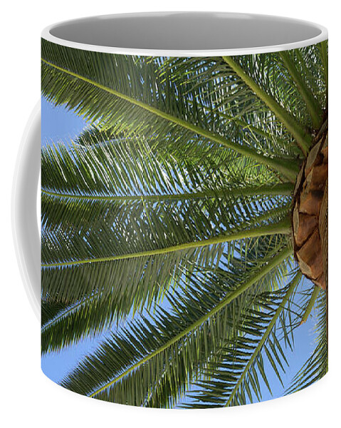 Palm Leaves Coffee Mug featuring the photograph In the shade of a tall palm tree, summer on the beach by Adriana Mueller