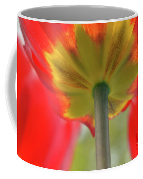 Tulip Coffee Mug featuring the photograph In the shade of a Tulip by Elaine Berger