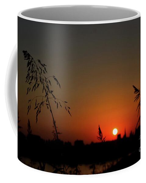 Nature Coffee Mug featuring the photograph In the Vermilion Fields of Twilight by Leonida Arte