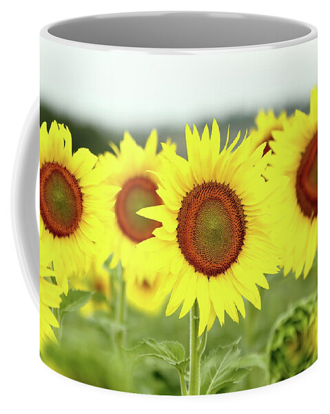Sunflower Coffee Mug featuring the photograph In Your Face by Lens Art Photography By Larry Trager