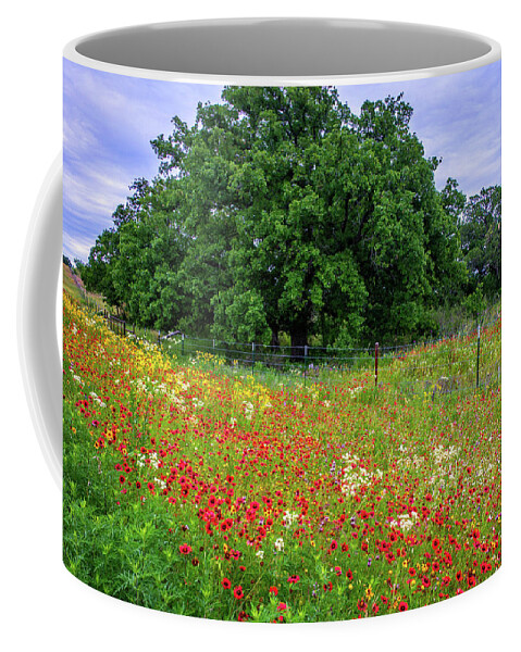 Texas Wildflowers Coffee Mug featuring the photograph Indescribable by Lynn Bauer