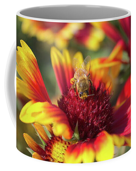 Indian Blanket Coffee Mug featuring the photograph Indian Blanket and bee by Jean Evans