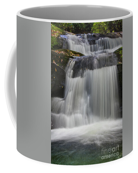 Indian Flats Falls Coffee Mug featuring the photograph Indian Flats Falls 12 by Phil Perkins