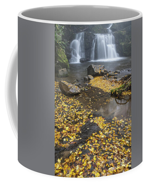 Indian Flats Falls Coffee Mug featuring the photograph Indian Flats Falls 13 by Phil Perkins