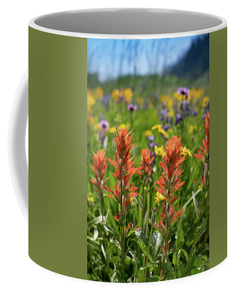 Wildflowers Coffee Mug featuring the photograph Indian Paint Brush Wildflower by Sena Marie