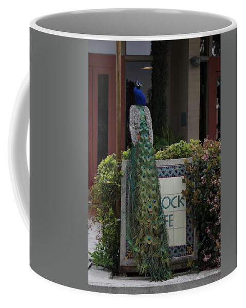 Indian Peafowl Coffee Mug featuring the photograph Indian Peacock with iridescent Blue and Green Plumage by Mingming Jiang