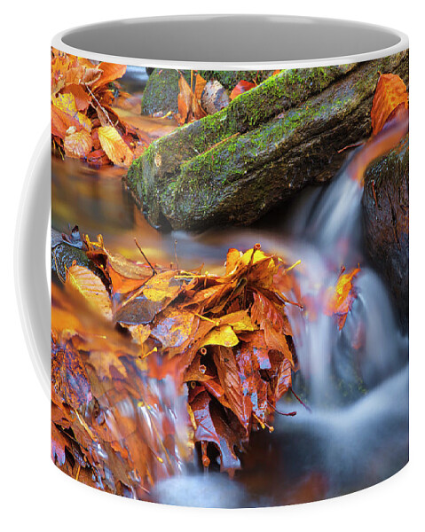 Indian Well State Park Coffee Mug featuring the photograph Indian Well State Park by Juergen Roth