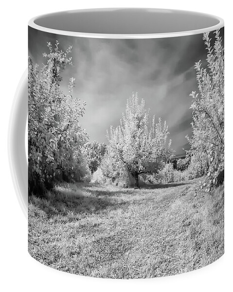 Black & White Coffee Mug featuring the photograph Infrared Orchard by Anthony Sacco