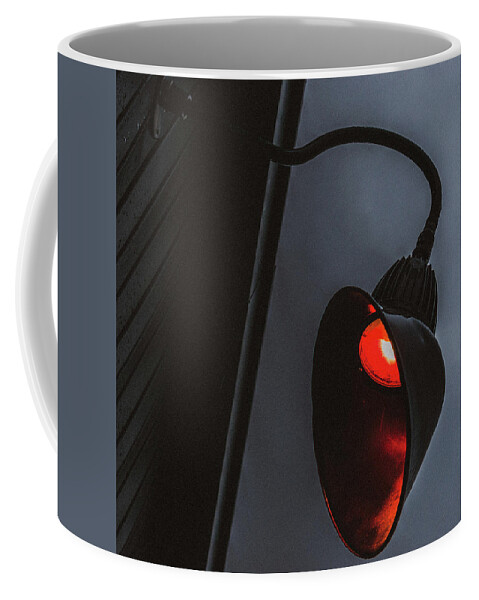  Coffee Mug featuring the photograph Inspector by Jake Walker