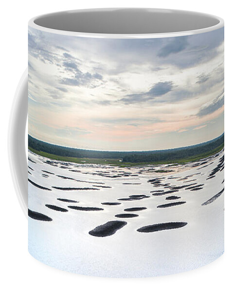 Florida Coffee Mug featuring the photograph Intracoastal Aviation by Steven Keys