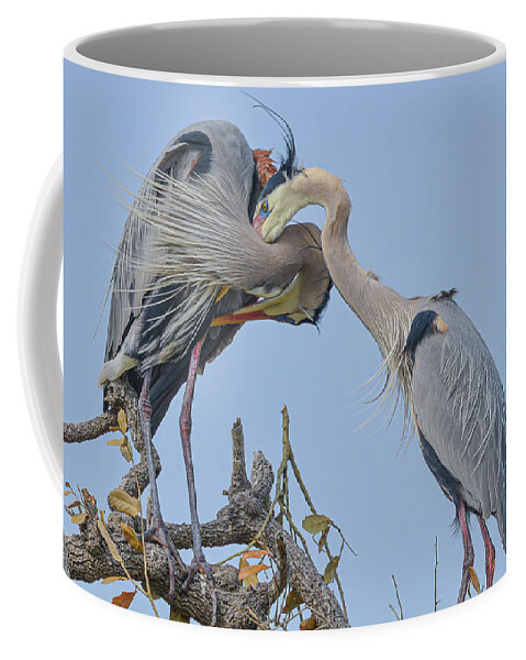 Great Coffee Mug featuring the photograph Intertwined by Christopher Rice
